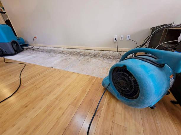 Reliable Basement Flood Cleanup contractor in Richmond, KS by Hirex Water Damage