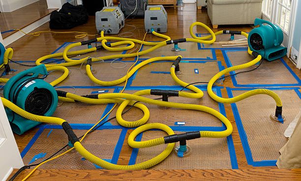 Professional Basement Flood Cleanup technician working in Richmond, KS